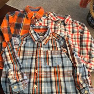 Lot of 3 long sleeve button down shirts- size 3T